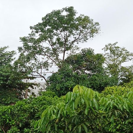 Green Space Homestay นิญบิ่ญ ภายนอก รูปภาพ