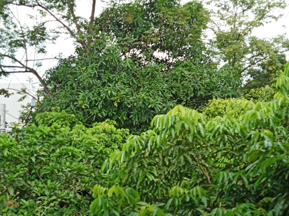 Green Space Homestay นิญบิ่ญ ภายนอก รูปภาพ