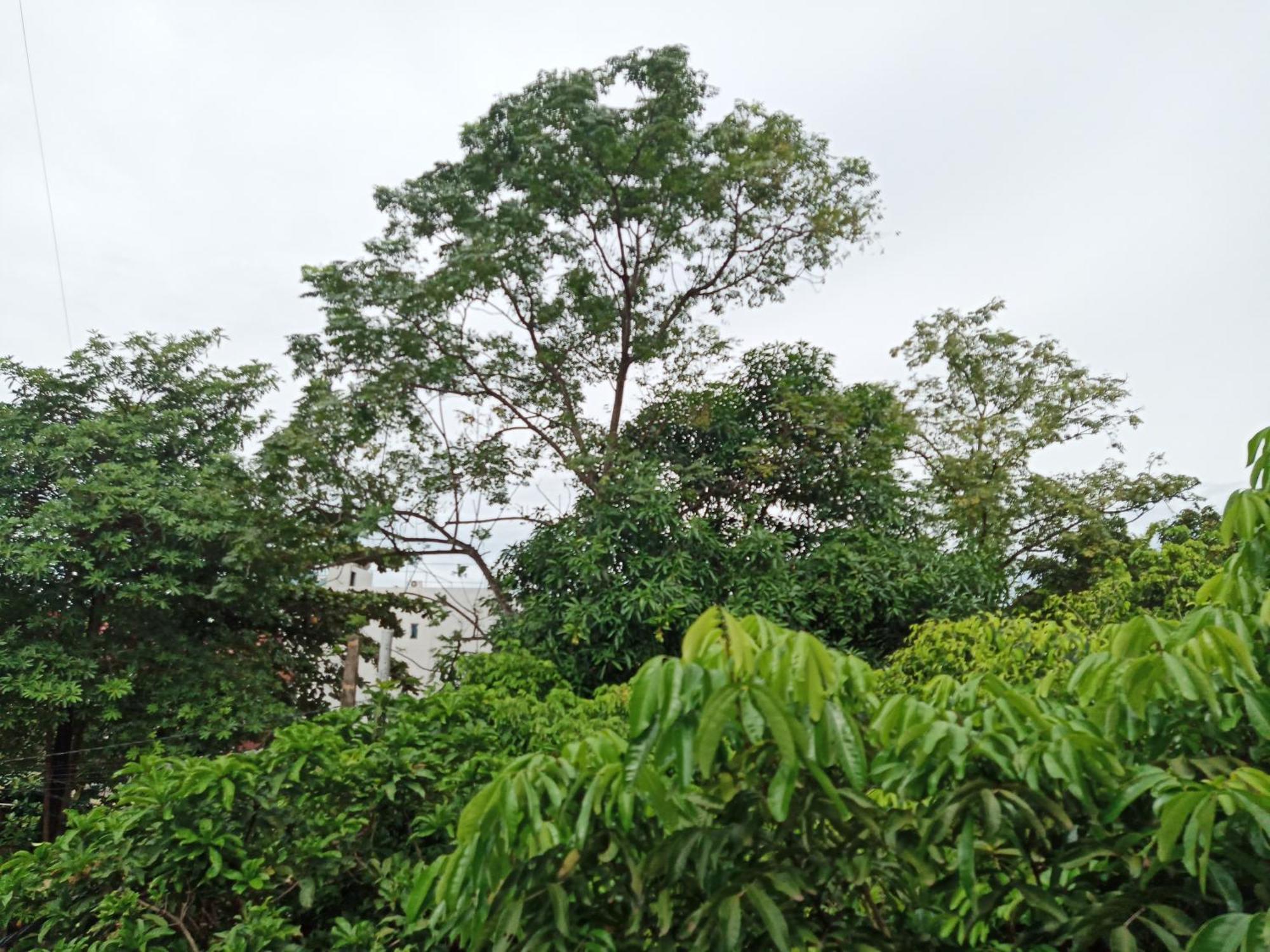 Green Space Homestay นิญบิ่ญ ภายนอก รูปภาพ