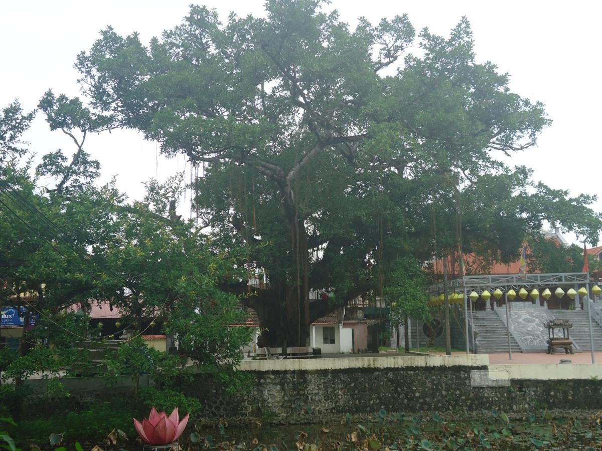 Green Space Homestay นิญบิ่ญ ภายนอก รูปภาพ