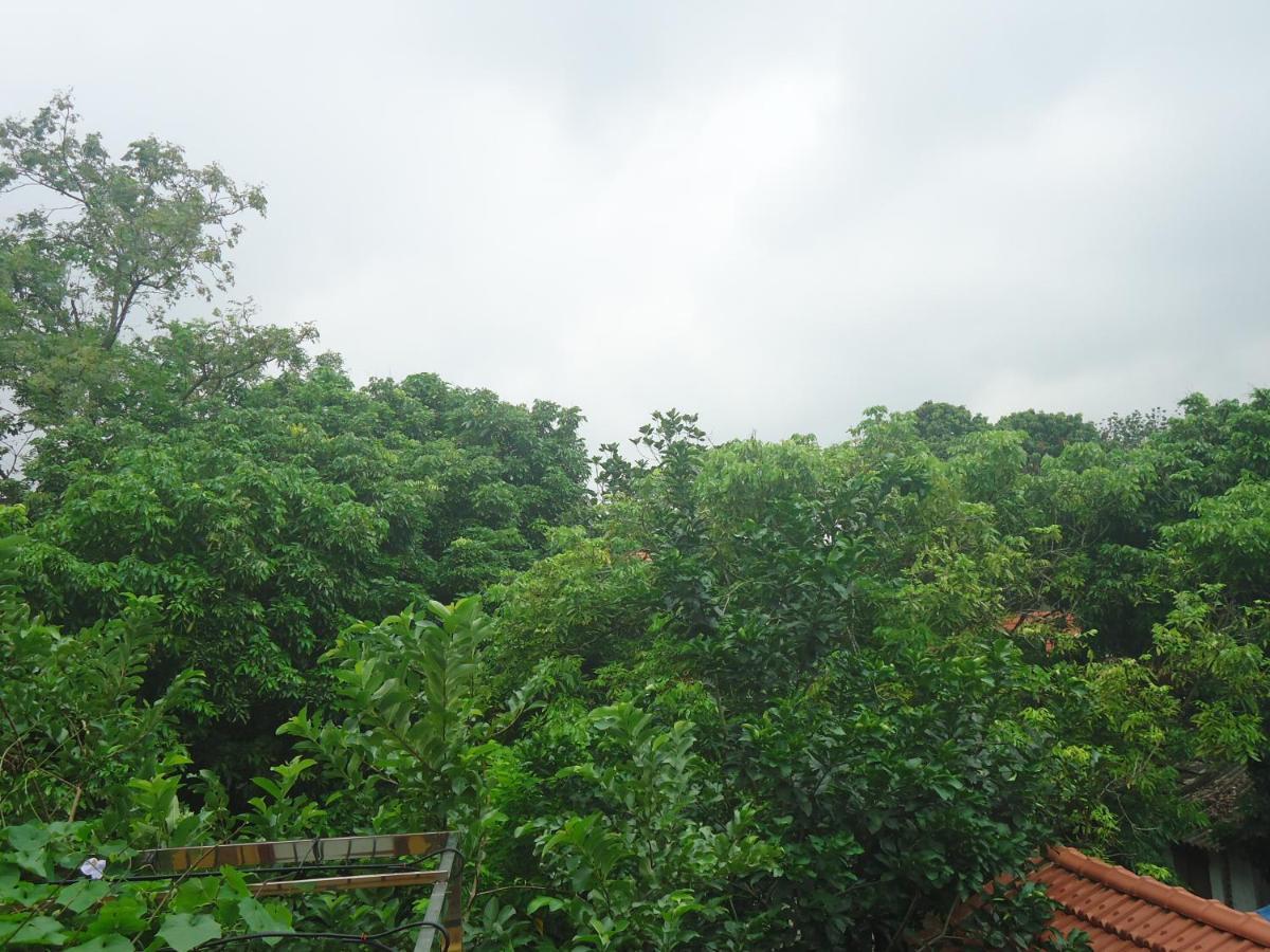 Green Space Homestay นิญบิ่ญ ภายนอก รูปภาพ