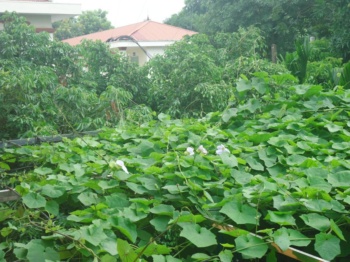 Green Space Homestay นิญบิ่ญ ภายนอก รูปภาพ