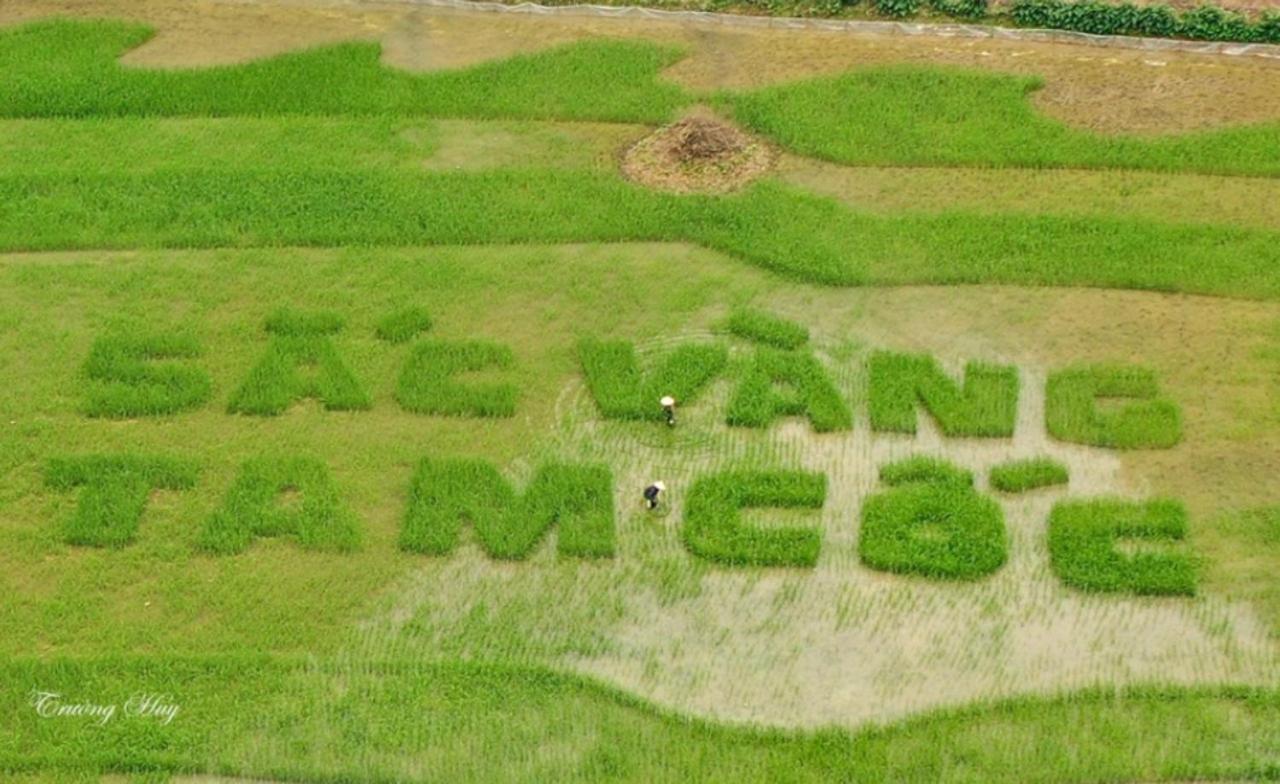 Green Space Homestay นิญบิ่ญ ภายนอก รูปภาพ