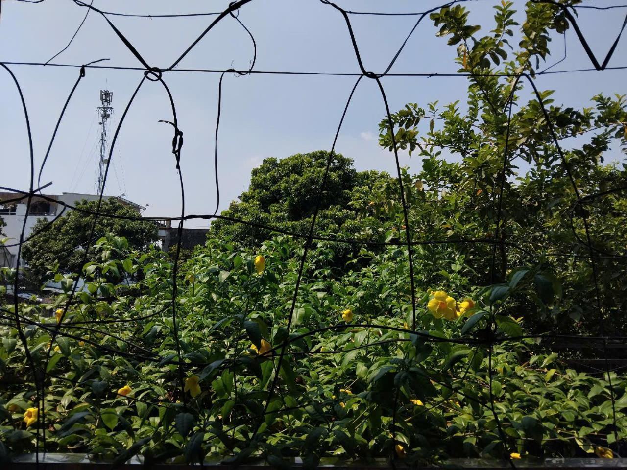 Green Space Homestay นิญบิ่ญ ภายนอก รูปภาพ